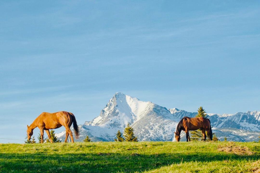 Holiday Resort Sefec Liptovská Sielnica エクステリア 写真